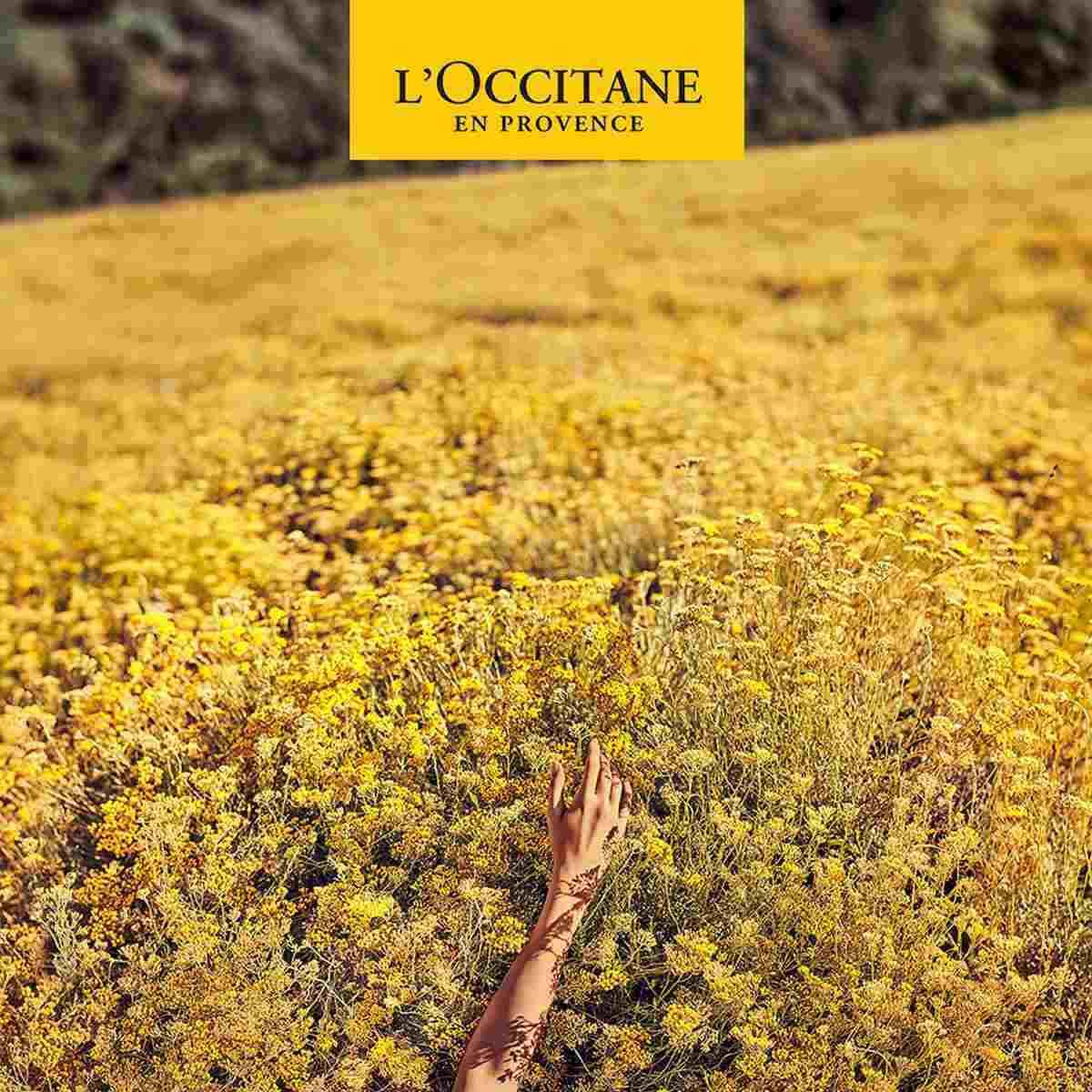 Loc karite` sapone liquido verbena 500^